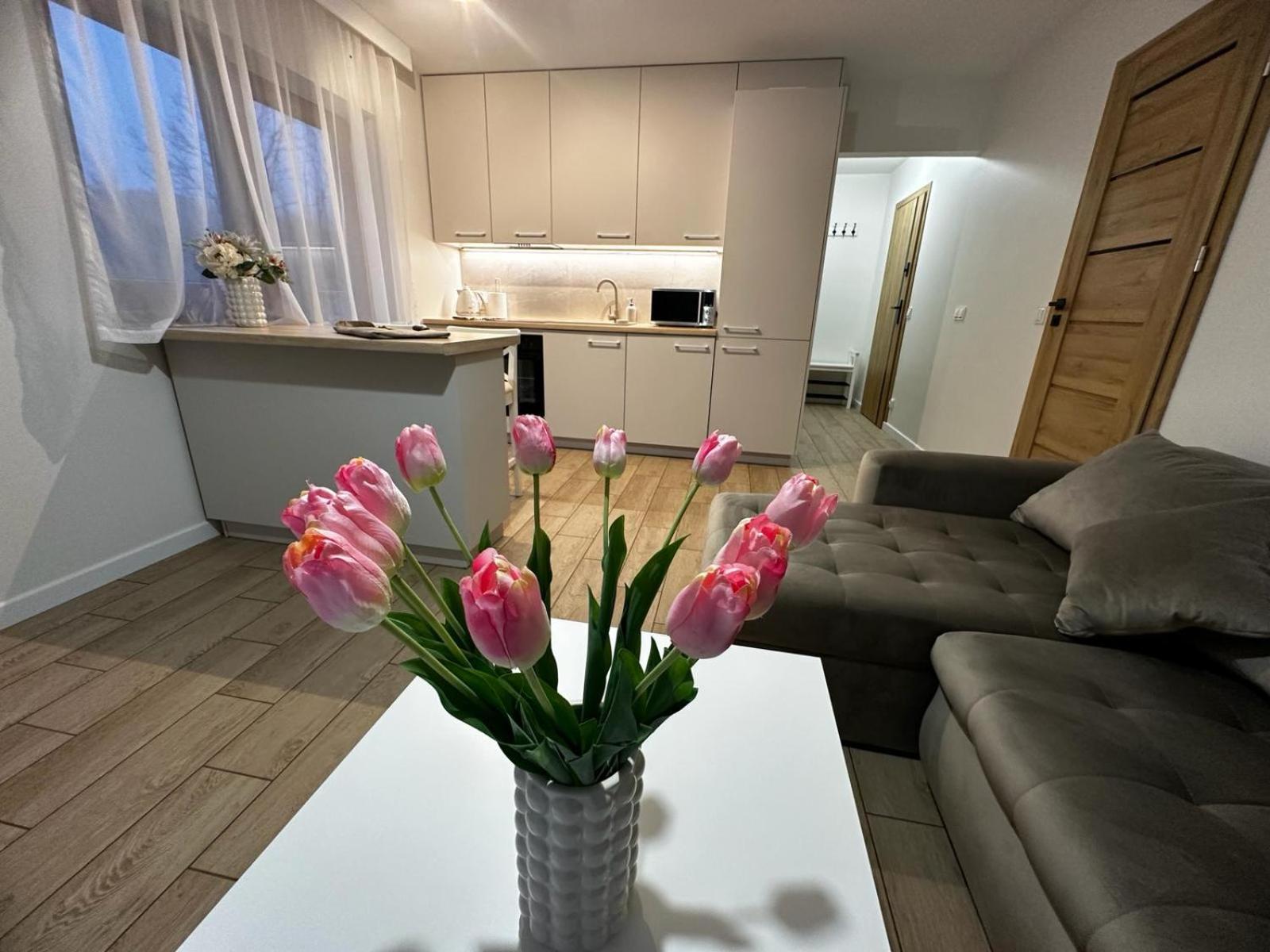 Apartamenty Biala Gran Zakopane Exterior foto
